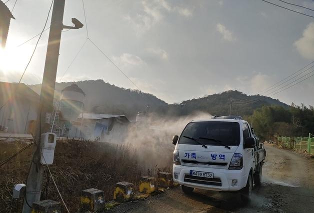 영암 육용오리 농장서 조류인플루엔자 항원 검출