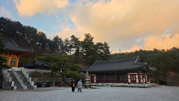 "산사에서 명상부터 도파민 디톡스까지"…'겨울 특별 템플스테이'