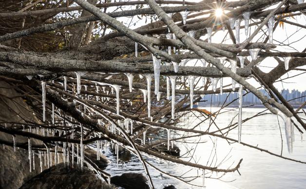 향로봉 –18.3도…강원 한파 지속, 오후부터 내륙·산간에 눈