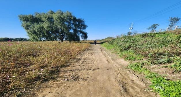 청주시, 내년 장평교~상당구청 무심천 산책로 조성
