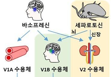 국립해양생물자원관, '배뇨 장애 개선 물질' 민간에 기술 이전