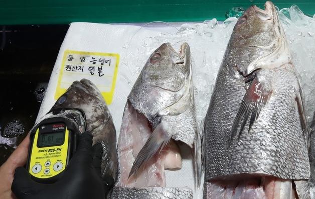 안전한 생산·공급환경 조성…해수부, '2026년도 수산물 안전성조사 계획' 수립