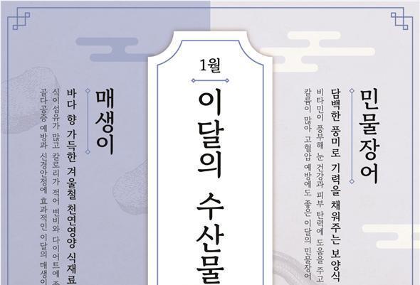 바다 향 가득 '매생이'·기력 충전 '민물장어'…1월 이달의 수산물로 선정