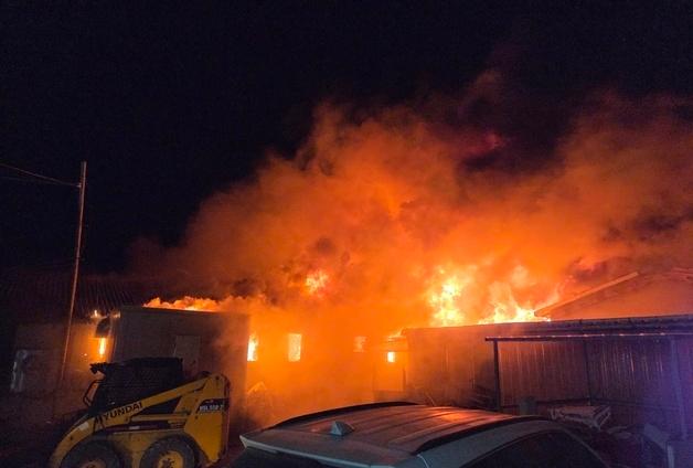 김해 돈사 화재로 돼지 1880마리 폐사(종합)