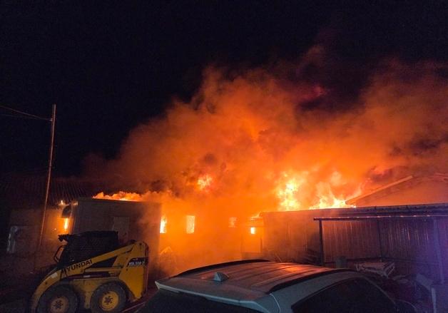 김해 돈사 화재로 돼지 1880마리 폐사(종합)