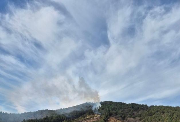 전남 장흥 야산 화재 1시간12분 만에 진화