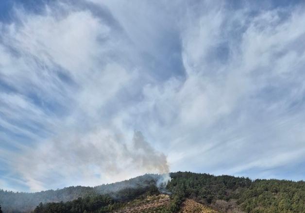 전남 장흥 야산 화재 1시간12분 만에 진화