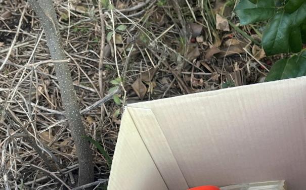 세상이 어지러워도 어김없이 나타난 '평범한 천사들'(종합)