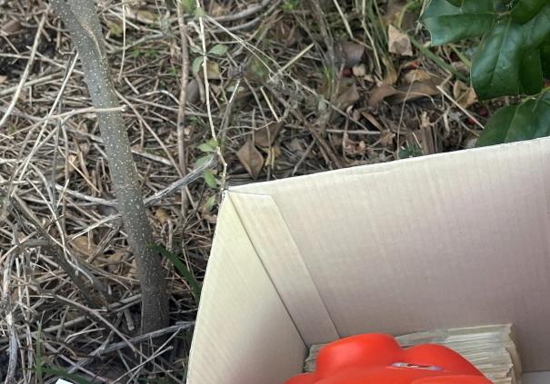 세상이 어지러워도 어김없이 나타난 '평범한 천사들'(종합)