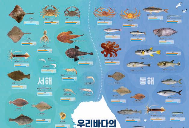 우리바다 평균 어획량, 남·동해 중심으로 10% 넘게 줄어