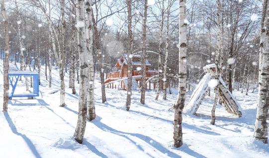 겨울 성수기 맞은 태백…인플루언서들 손잡고 청년 관광객 조준