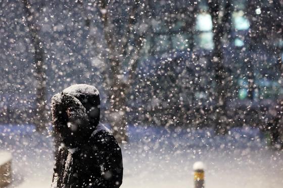 서울 올겨울 첫눈 3.6㎝·전국 최대 4.3㎝…밤새 시간당 5㎝ 퍼붓는 곳도