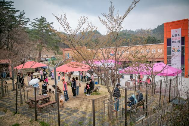 '핑크빛 입양제' 통했다…강릉시 유기동물 입양률 '도내 1위'