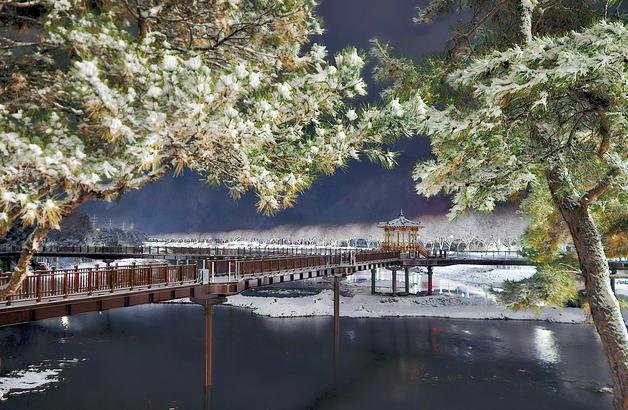 [풍경] 첫눈 내려 드러난 괴산 에코브릿지의 겨울 풍광