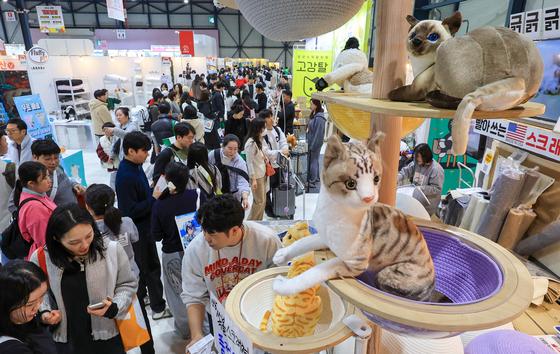 [뉴스1 PICK]고양이와 집사를 위한 축제, 궁디팡팡 캣페스타