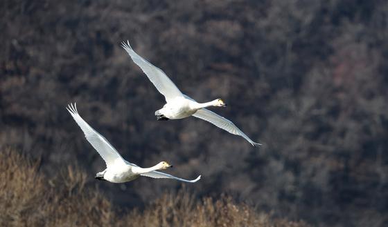 [오늘의 날씨] 울산(18일, 목)…해안 높은 물결, 아침 쌀쌀