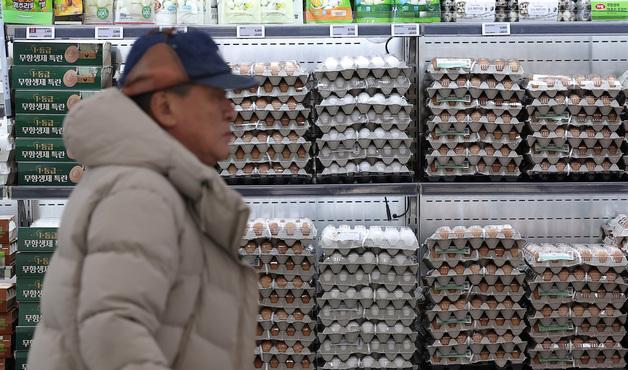 "닭 사육면적 늘리면 계란 가격 폭등…수입산 판칠 것"