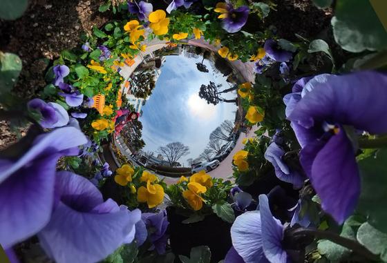 [오늘의 날씨] 대전·충남(11일, 수)…아침 기온 영하권