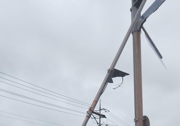 '들불축제' 날린 제주 강풍…나무 쓰러지고 신호등도 파손(종합)