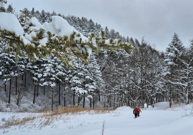 [오늘의 날씨] 강원(28일, 일)…영서·산간 최고 8㎝ 눈이나 5㎜ 비