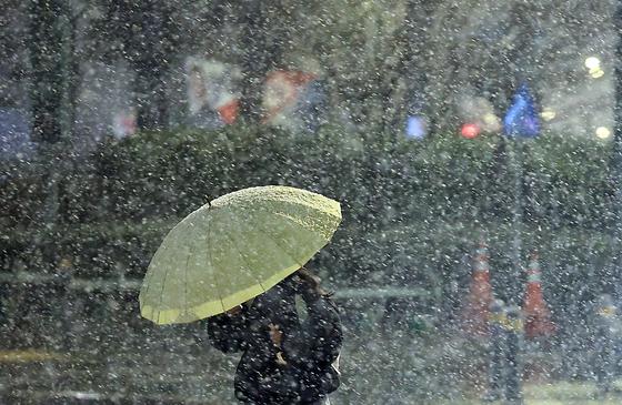 이번 주말 '대설' 가능성…농식품부, 비상대응 체계 운영