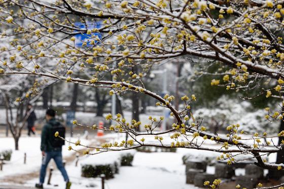 한파 몰아친 제천 아침기온 -11.6도…중남부 오후부터 눈발