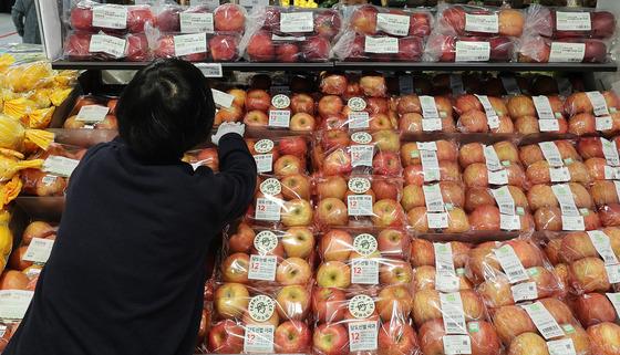 2025년산 배·감귤·딸기 생산은 '양호'…사과는 소폭 줄어