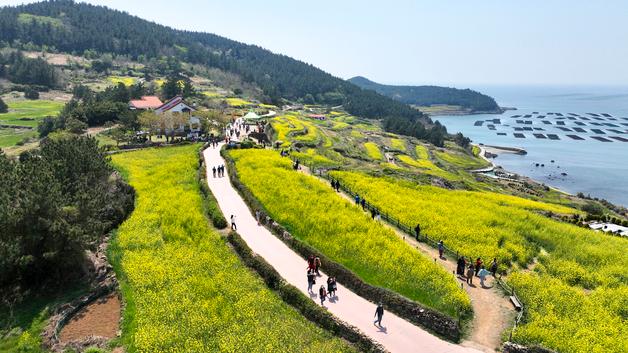 고창·거창·완도 인구감소지역 여행비 50% 환급…13일부터 신청