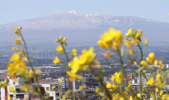 [오늘의 날씨] 제주(17일, 토)…낮 최고 10~16도