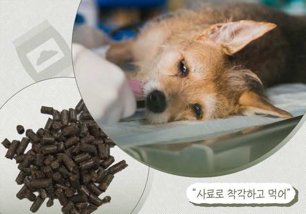 "사료처럼 생겼네"…반려동물 '유박비료' 섭취 주의보[펫카드]