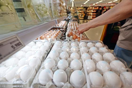 "계란, 품질등급 확인하고 드세요"…품질등급 표시방식 개선