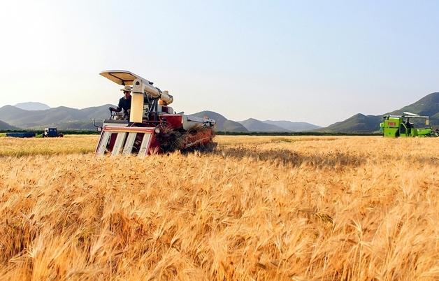 북한의 식량생산 증가와 포전담당책임제