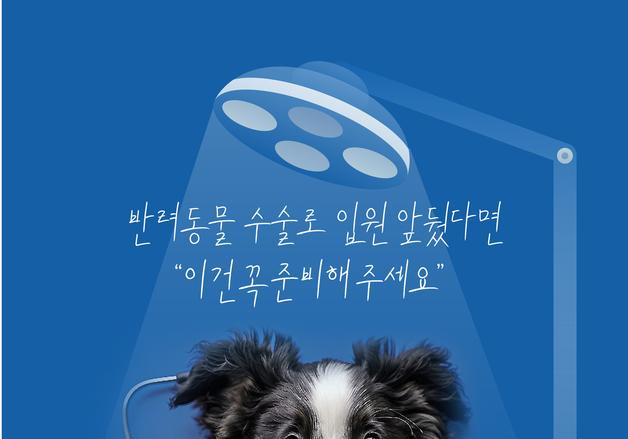반려동물 수술로 입원 앞뒀다면…"이것 꼭 준비해주세요"[펫카드]