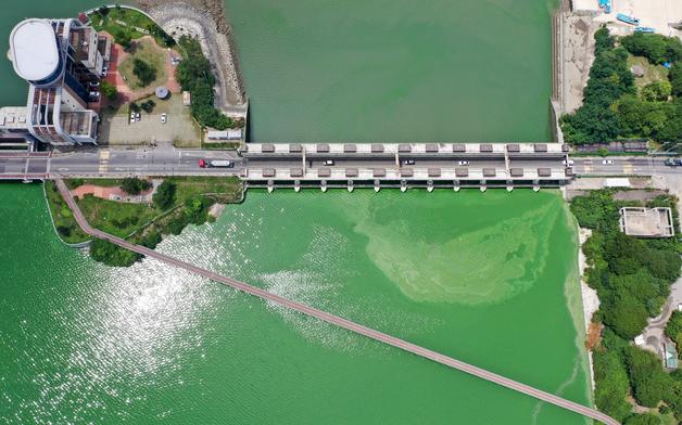 기후부, 녹조 예방 위해 공공하수처리시설 '총인' 기준 강화