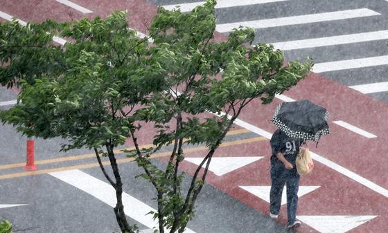 [오늘의 날씨] 전북(14일, 금)…곳에 따라 소나기, 체감온도 33도