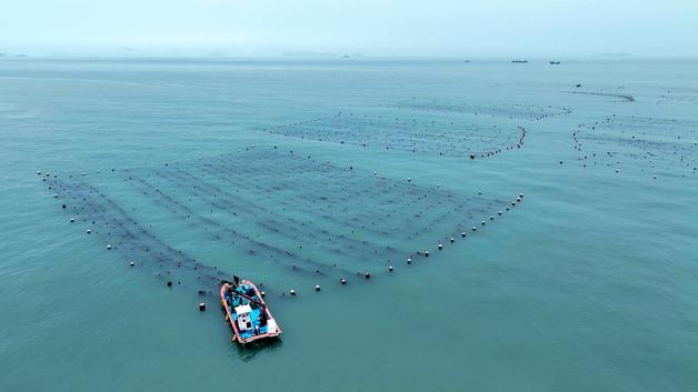 완도군, 바다숲 탄소 거래 6곳 선정…'바다 연금' 본격화