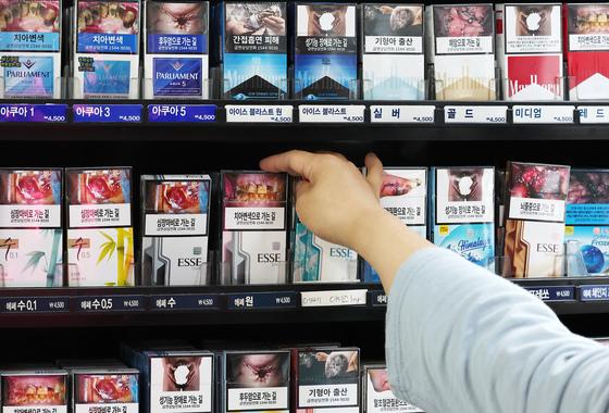 정부대표단, WHO 등 국제사회와 '담배없는 세대' 만들 방안 모색