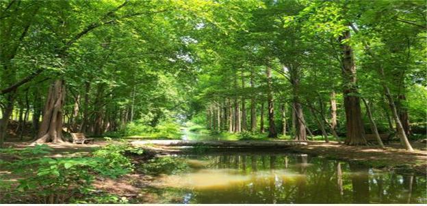 경북도, 산림청 목재문화지수 평가 ‘우수’…목재산업 정책 성과