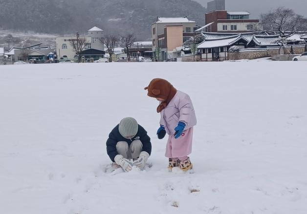 최고 25㎝ 폭설에 강풍까지…광주·전남 피해 잇따라(종합)