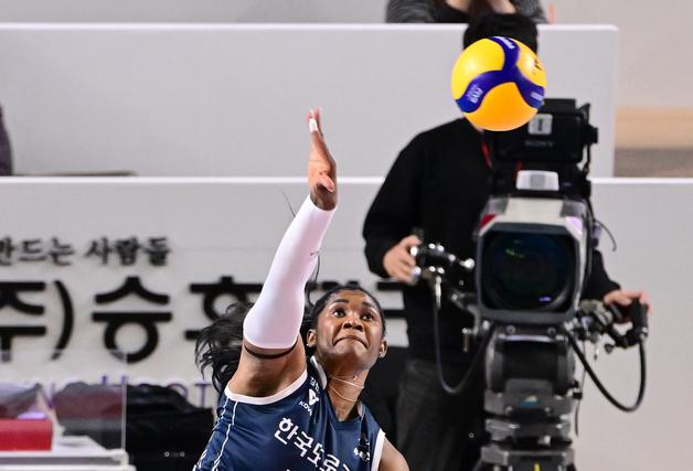 도로공사 선두 비결?…'봄 배구 청부사' 모마에게 물어봐