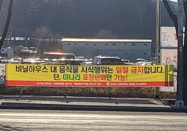 불법 식당 영업 정비한 대구 달성군…화원 미나리 수도권 출하