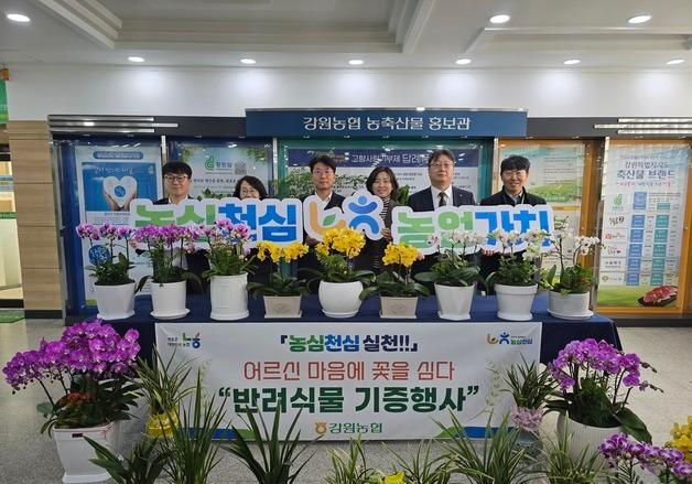 김병용 강원농협 본부장, 취임축하 화분 지역 노인복지관에 기부