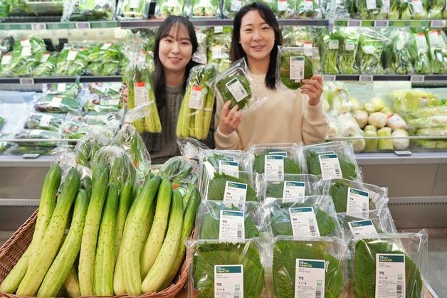 롯데마트, 한파에도 '균일 품질·가격' 깻잎·오이 판매