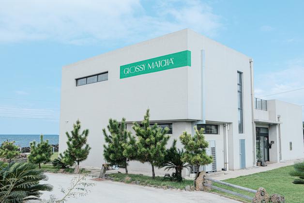 제주 말차 브랜드 '글로시말차', 현대百 판교점 팝업스토어 운영