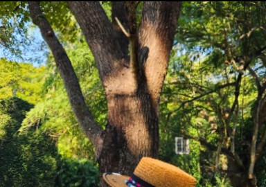 63세 윤영미, 속옷 없이 등 훤히 트인 과감 패션…"서비스" [N샷]