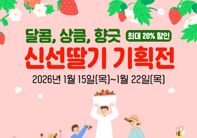 '곡성몰' 신선딸기 기획전 31일까지…최대 20% 할인 판매
