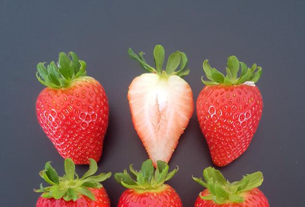 충남농기원, 신품종 딸기 '미향' 품종보호출원