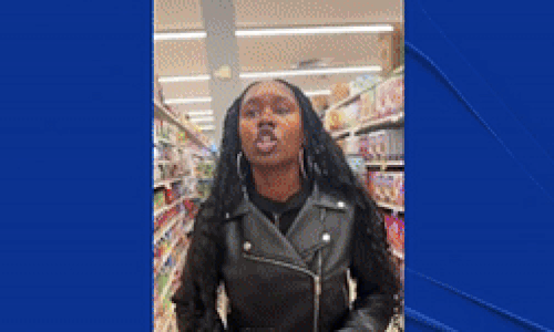 "게이 증오한다"…처음 본 남성 폭행한 30대 여성