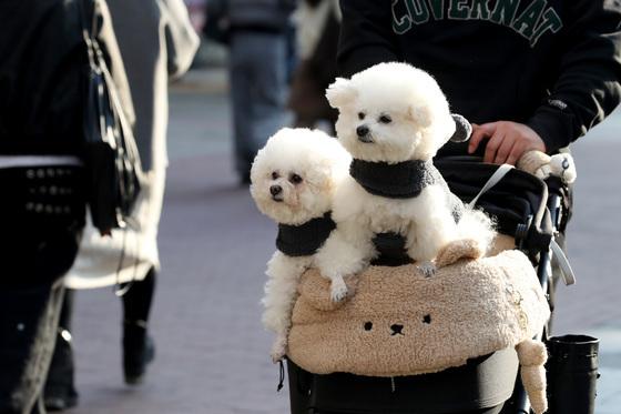 "마스크 쓰세요" 미세먼지 기승…평년보다 포근 [오늘날씨]