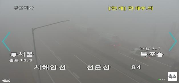 서해안 고속도로 '짙은 안개 커튼'…4중 추돌·역주행 2명 중·경상
